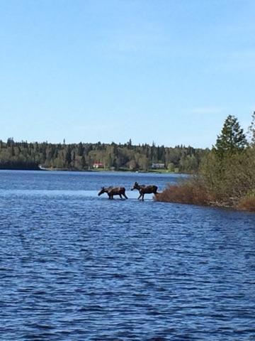Catfish Lakefront Cabins & Campground 와와 외부 사진