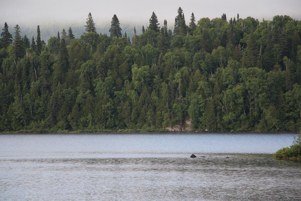 Catfish Lakefront Cabins & Campground 와와 외부 사진